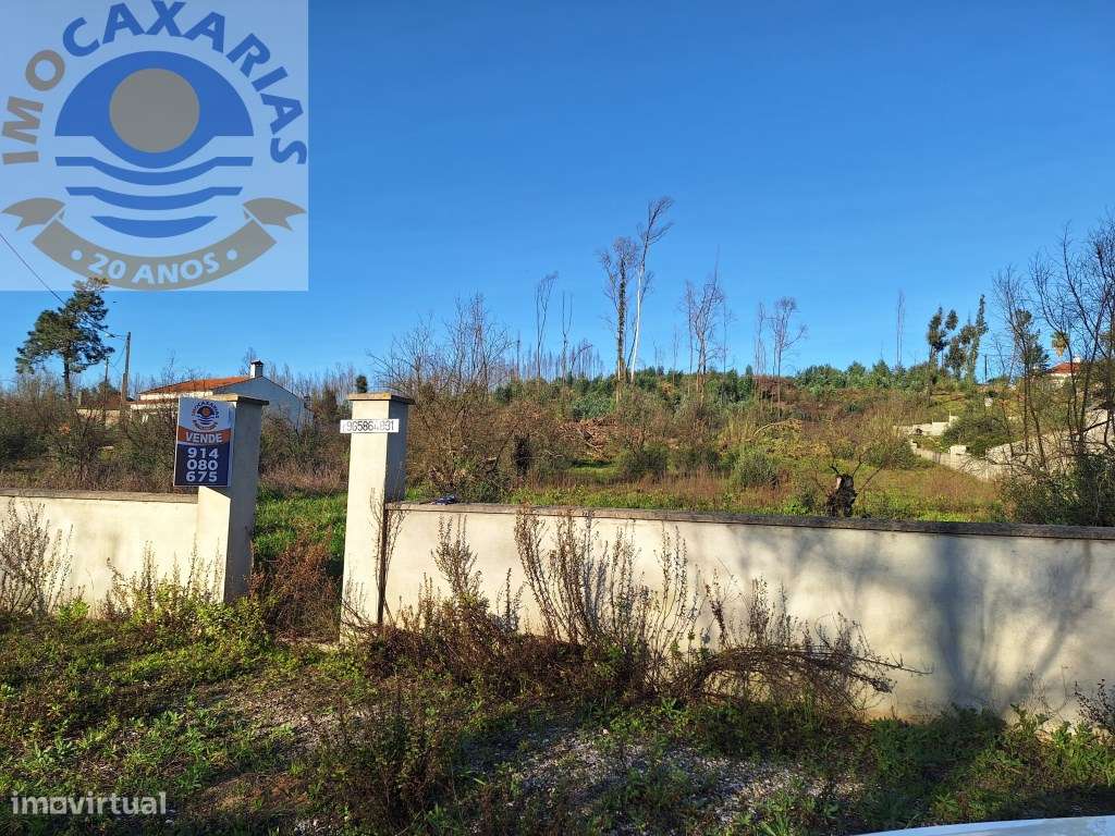 Terreno para construção-Mata - Grande imagem: 3/6