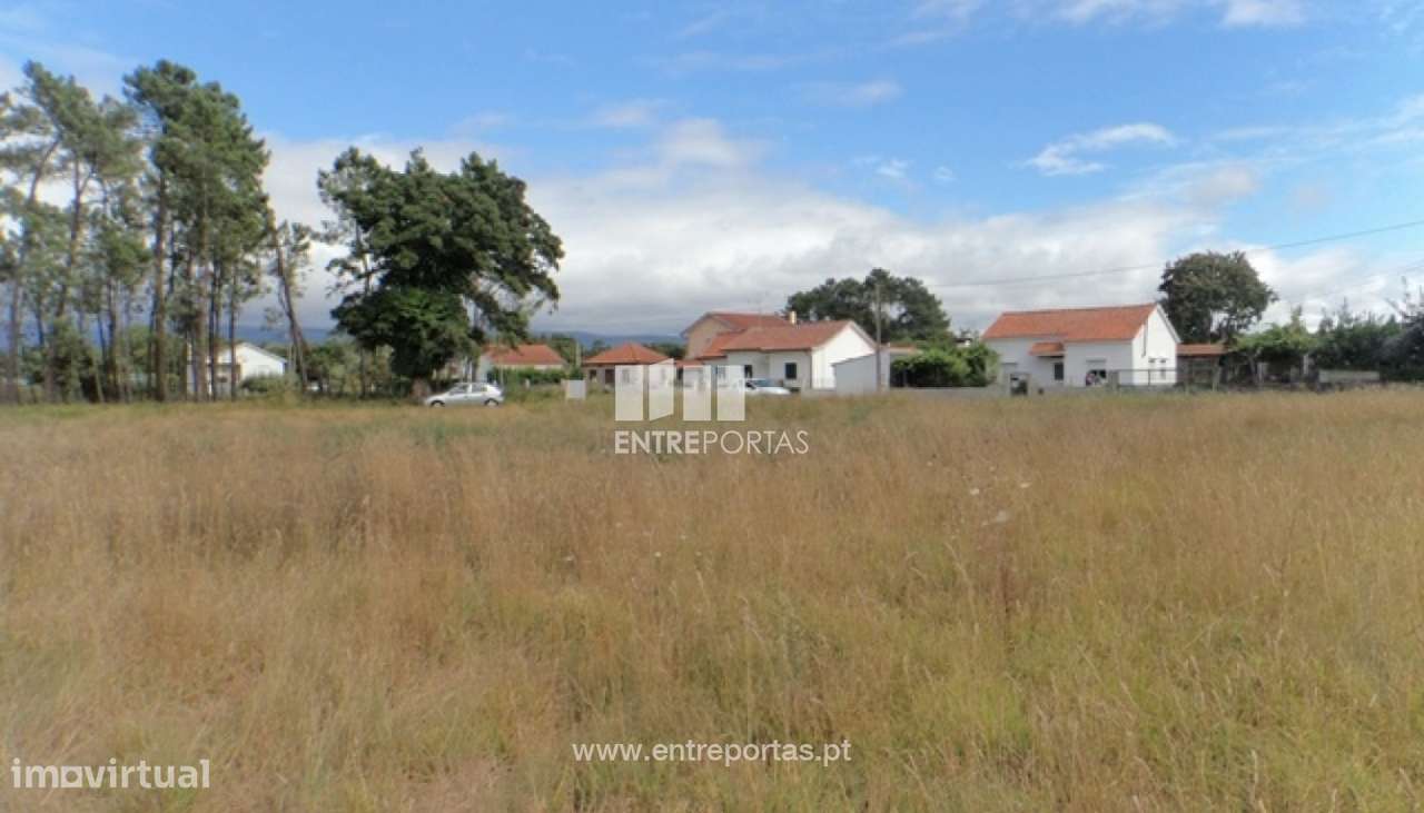 Venda de Terreno, Vila Meã, V.N.Verceira. - Grande imagem: 5/7