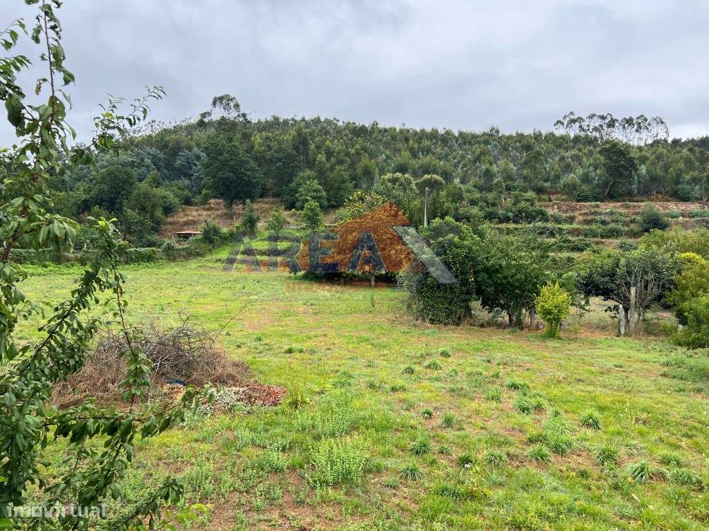 Oportunidade: 2 casas + artigo rústico com 2,0648 ha, perto de Oliv...-26