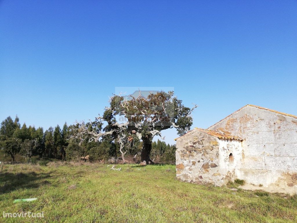 Monte Alentejano com 4ha na Serra de Grândola com casa tí...