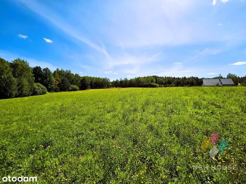 Działka pod zabudowę w otulinie lasu, Patryki - Pełny obrazek: 5/8