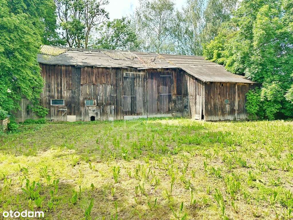 Dom wraz z budynkami na działce 5000 m2 - Pełny obrazek: 5/12