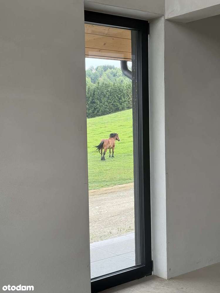 Nowy apartament 100 m² | widok na zamek, jezioro, Tatry | Czorsztyn - Pełny obrazek: 4/9