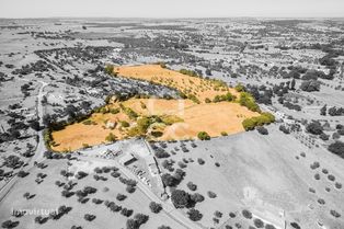 Quinta de 6,7 ha e moradia térrea T3 | Arraiolos - Grande imagem: 5/60