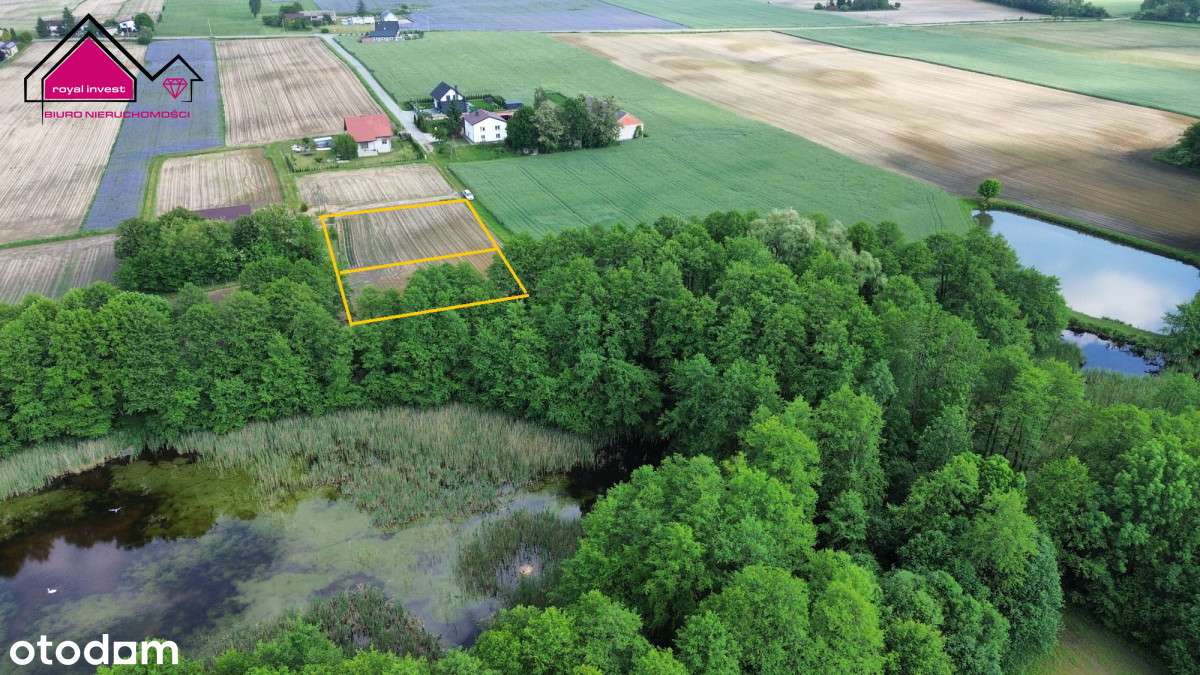 Nowa cena! Działki 1000m2/Dobrosołowo/stawy, - Pełny obrazek: 2/7