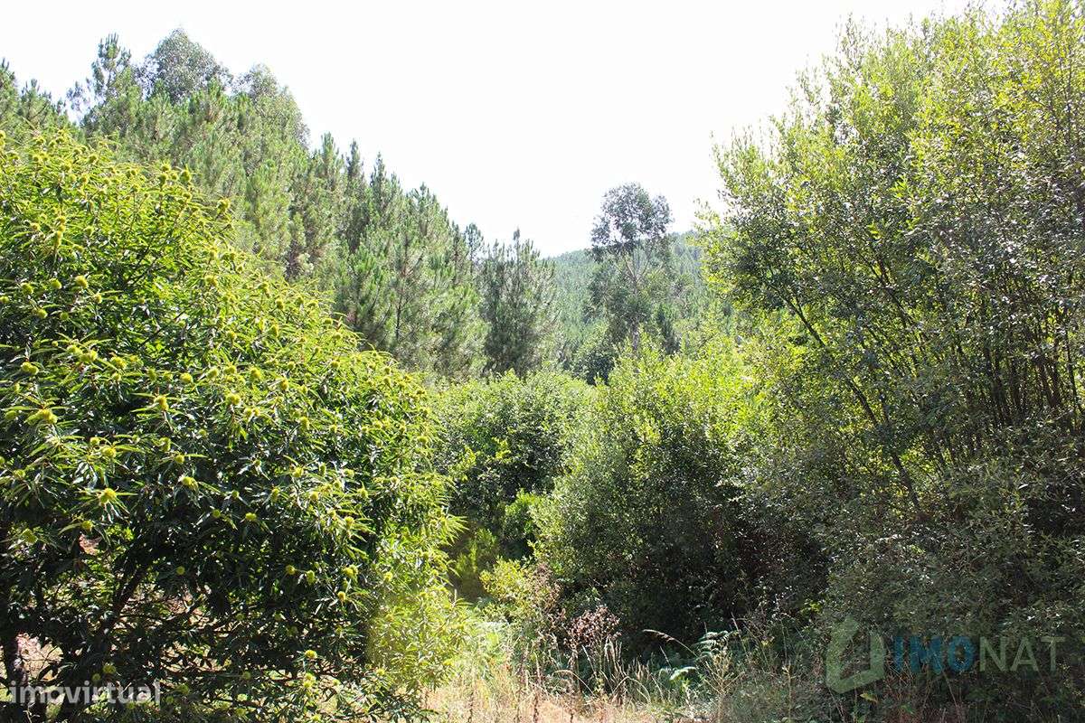 Quinta - Grande imagem: 5/32