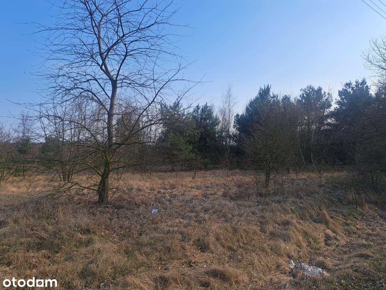 Ładne działki budowlane/media przy działce - Pełny obrazek: 3/12