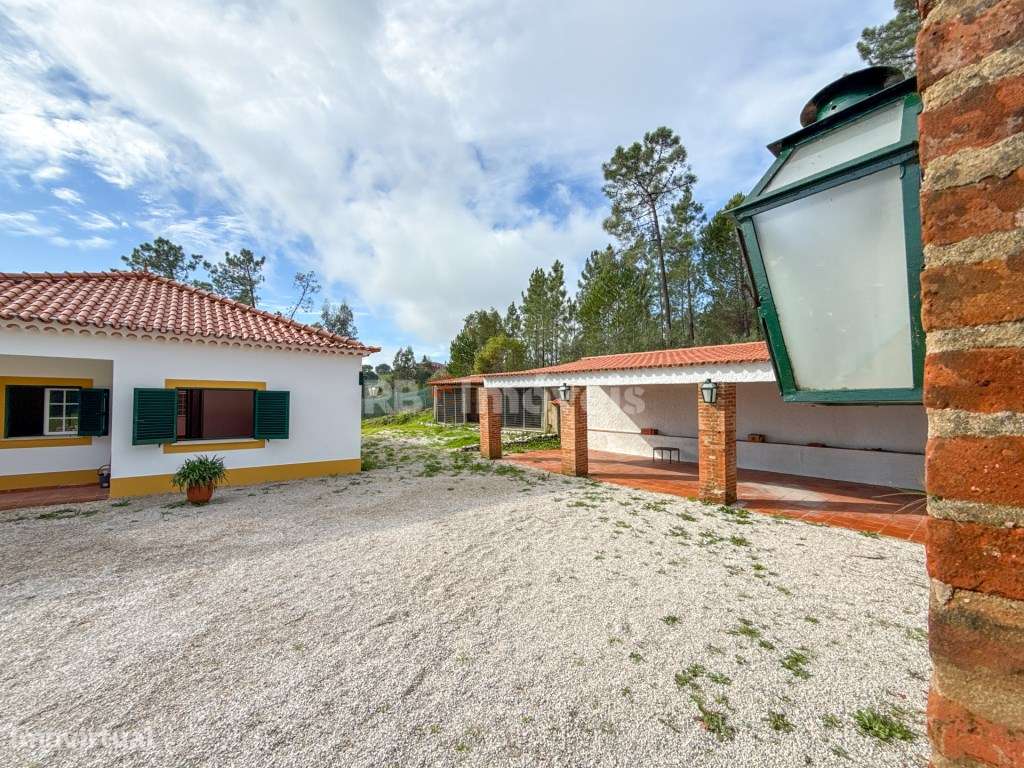 Moradia T3, c/ Jardim, Garagem e Zona de Estar Exterior - Castelo d... - Grande imagem: 4/60