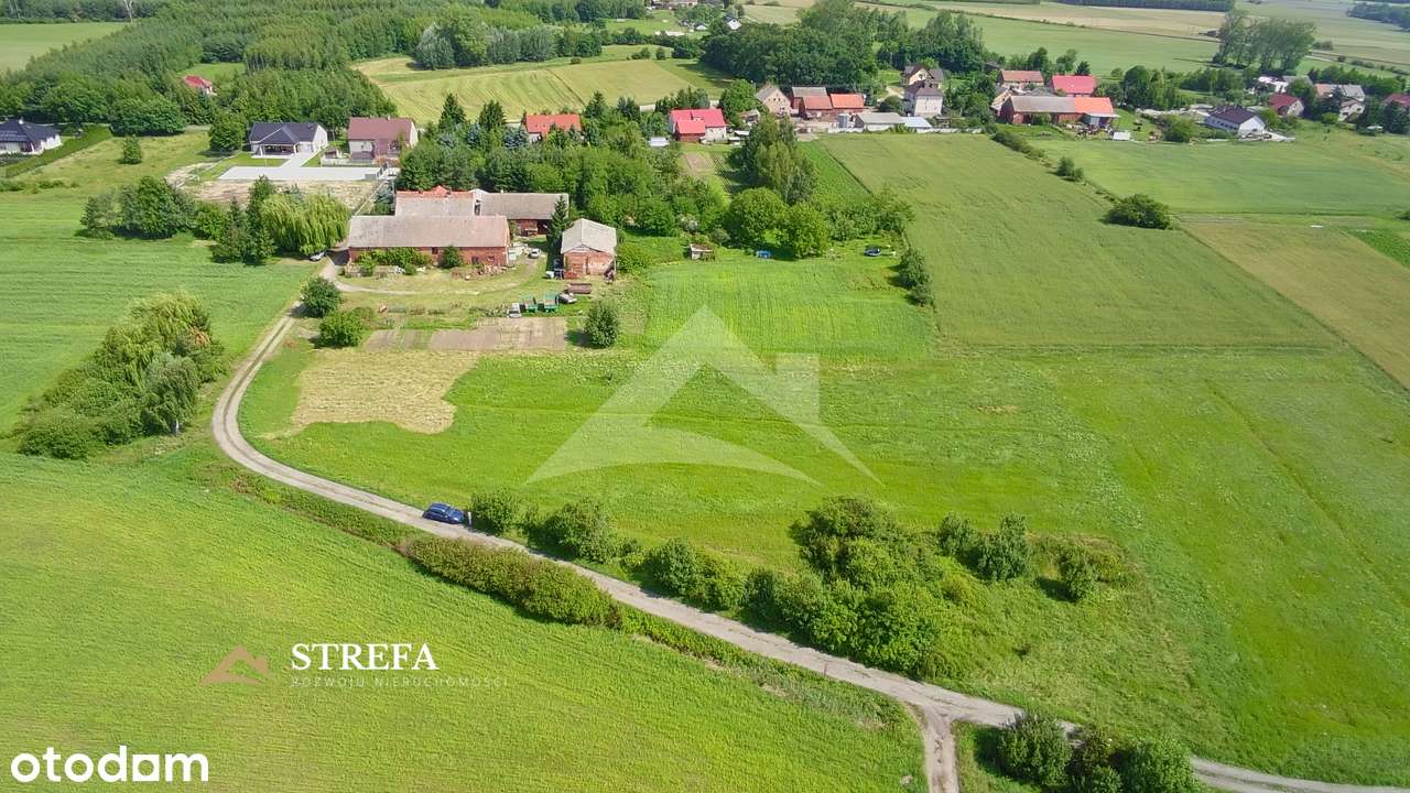 Działka budowlana 1 ha  MPZP, podział 10 działek, pełne uzbrojenie-5