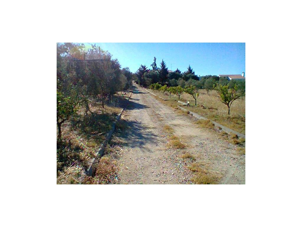 Quinta T3 | Piscina | Junto à Barragem da Vigia - Grande imagem: 4/44