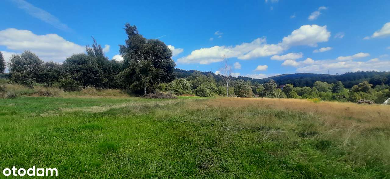 Słoneczna działka przy lesie, budowlana, 8 ar - Pełny obrazek: 5/13