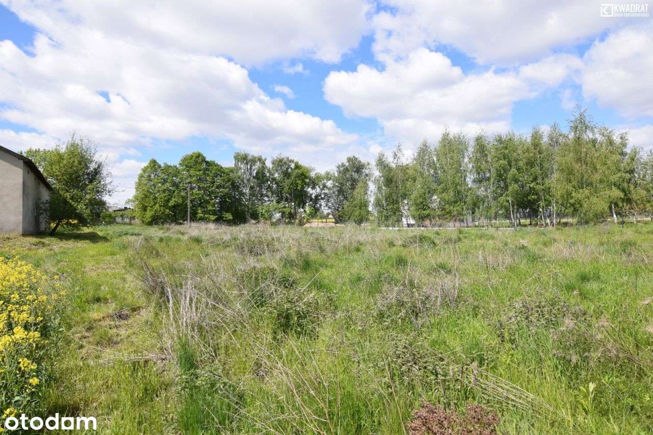 Sobianowice/ działka zagrodowa/ 23 ary - Pełny obrazek: 5/5