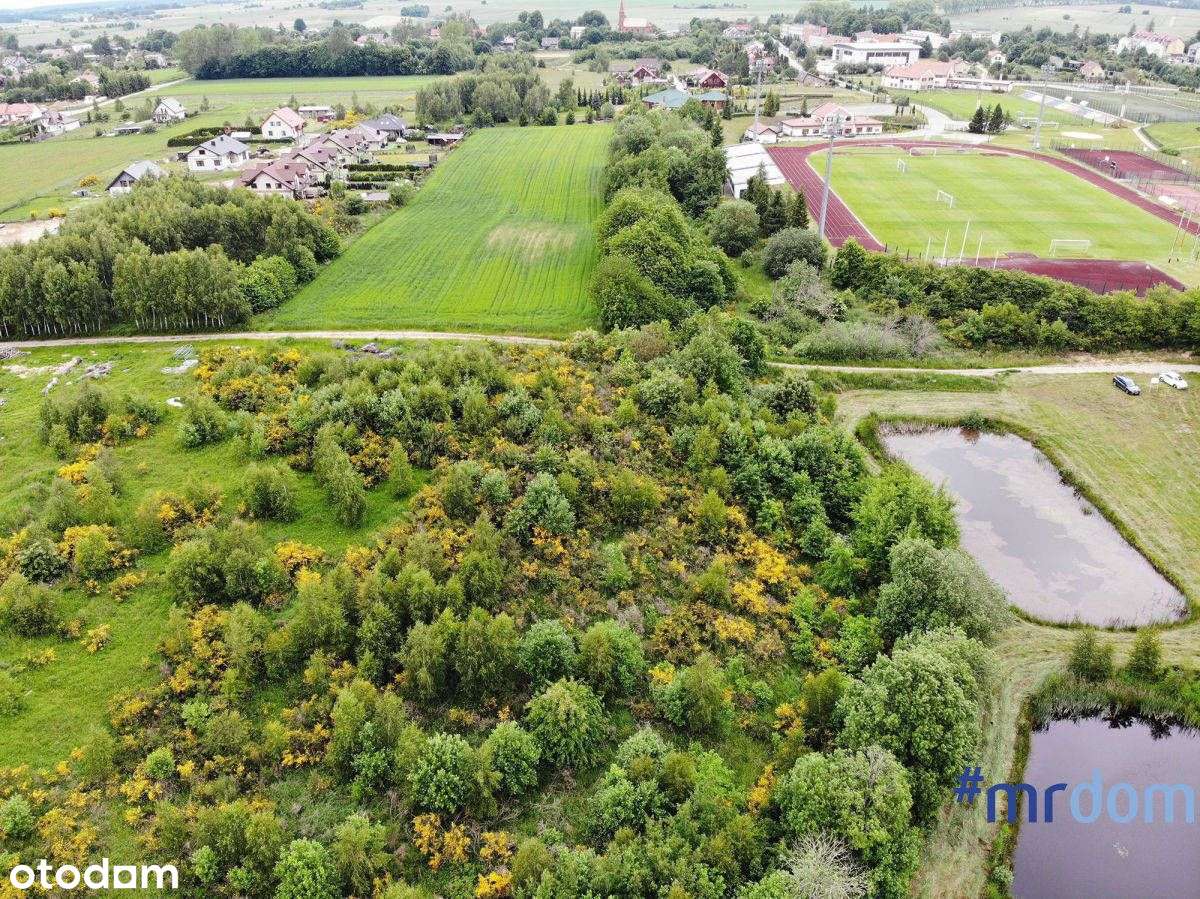 Dziełka rekreacyjna Gniewino - Pełny obrazek: 4/6