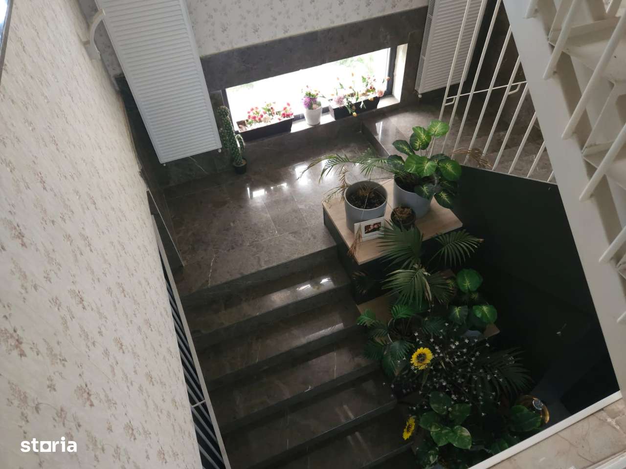 Vila 750 mp Cernica-7