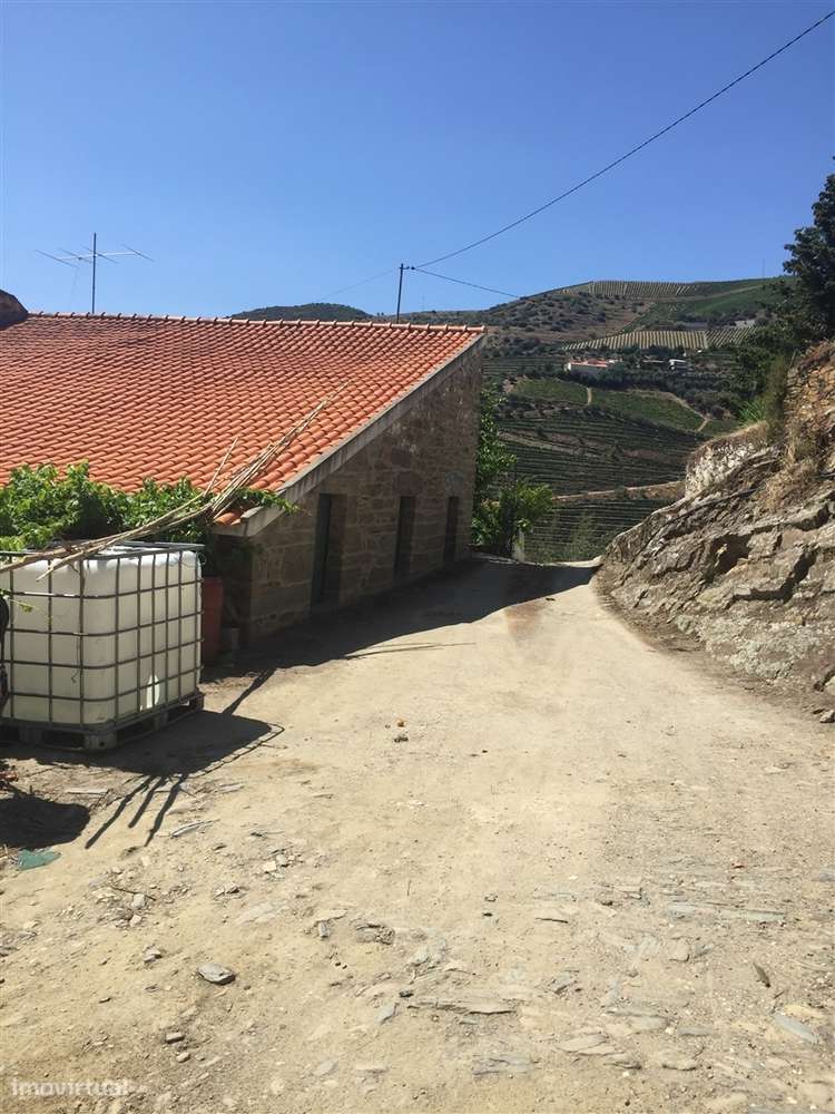 Quinta no Douro ao Pinhão - Grande imagem: 4/35