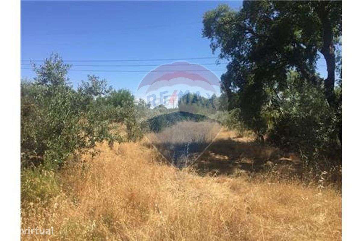 Terreno T0 para venda - Grande imagem: 4/10