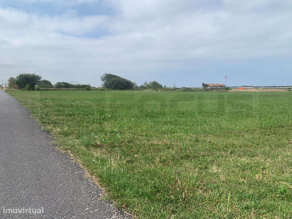 Terreno frente á ria com vistas desafogadas sobre a Costa Nova - Ga... - Grande imagem: 4/6