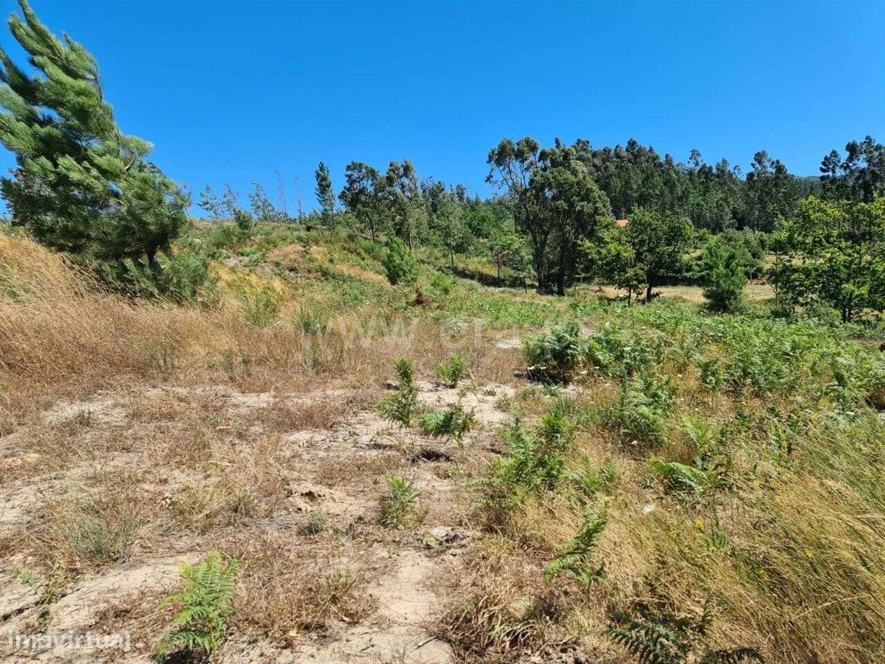 Quintinha / Marco de Canaveses, Penhalonga e Paços de Gaiolo - Grande imagem: 4/9