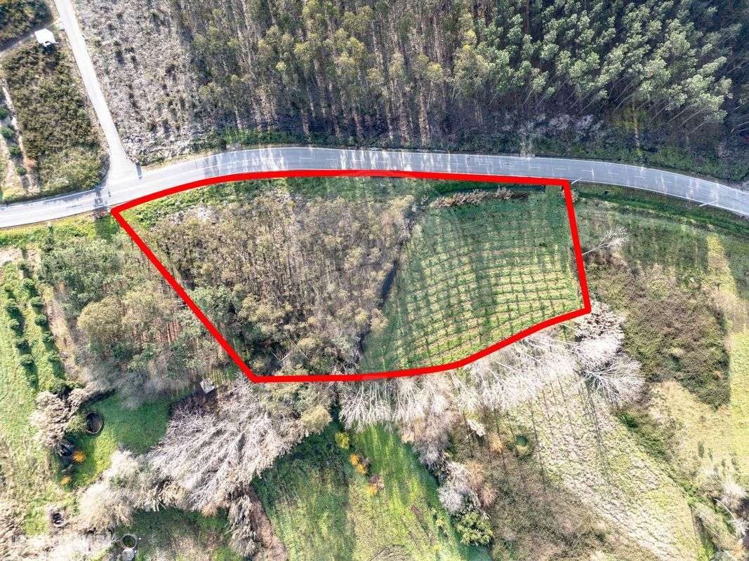 Terreno  para venda - Grande imagem: 1/14