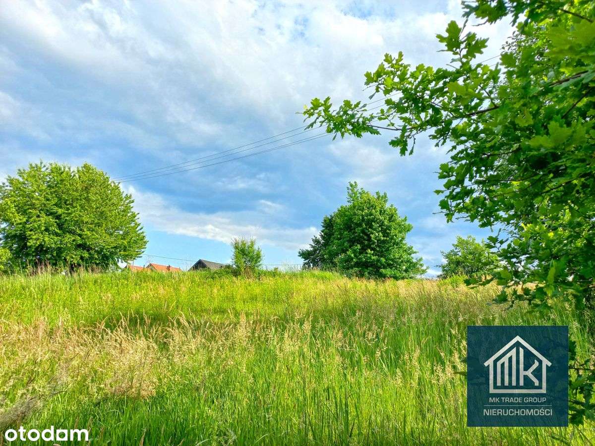 Działka budowlana Szarów 26,33 a, cicha okolica - Pełny obrazek: 4/6