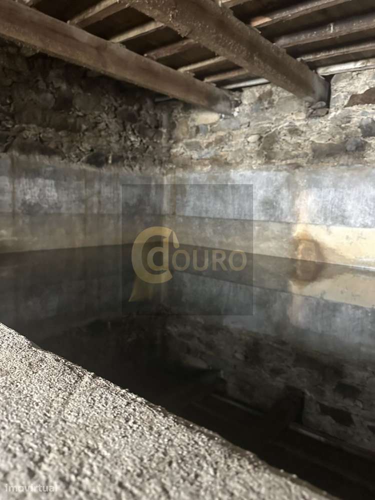 Quinta Brasonada no Douro Superior-13