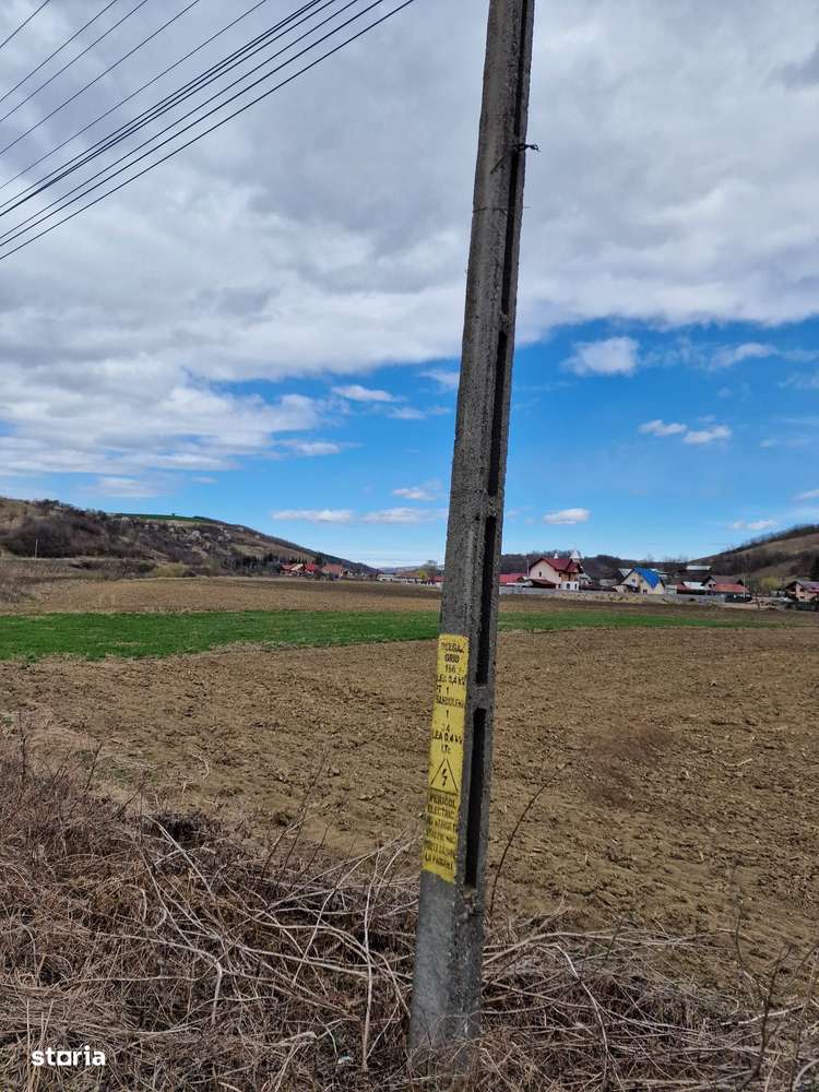 Teren intravilan in Sanduleni/Bacau de vanzare - Imagine principală: 4/20