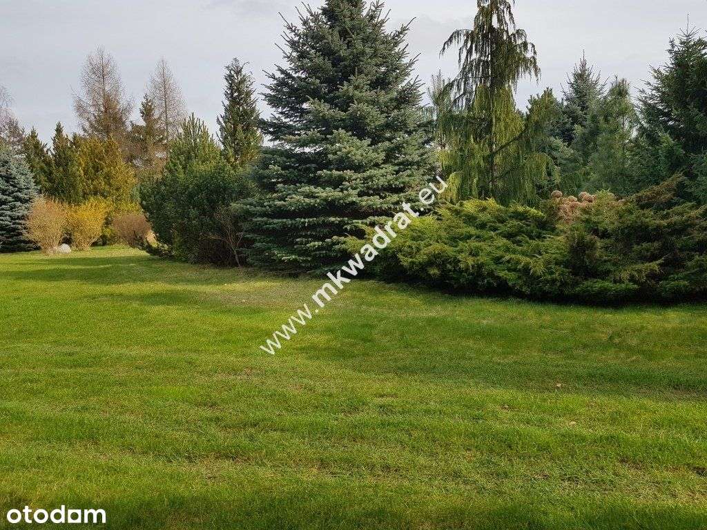 ⭐⭐⭐⭐Lux Działka W Otulinie LasU Idealna cisza ⭐⭐⭐⭐ - Pełny obrazek: 4/9