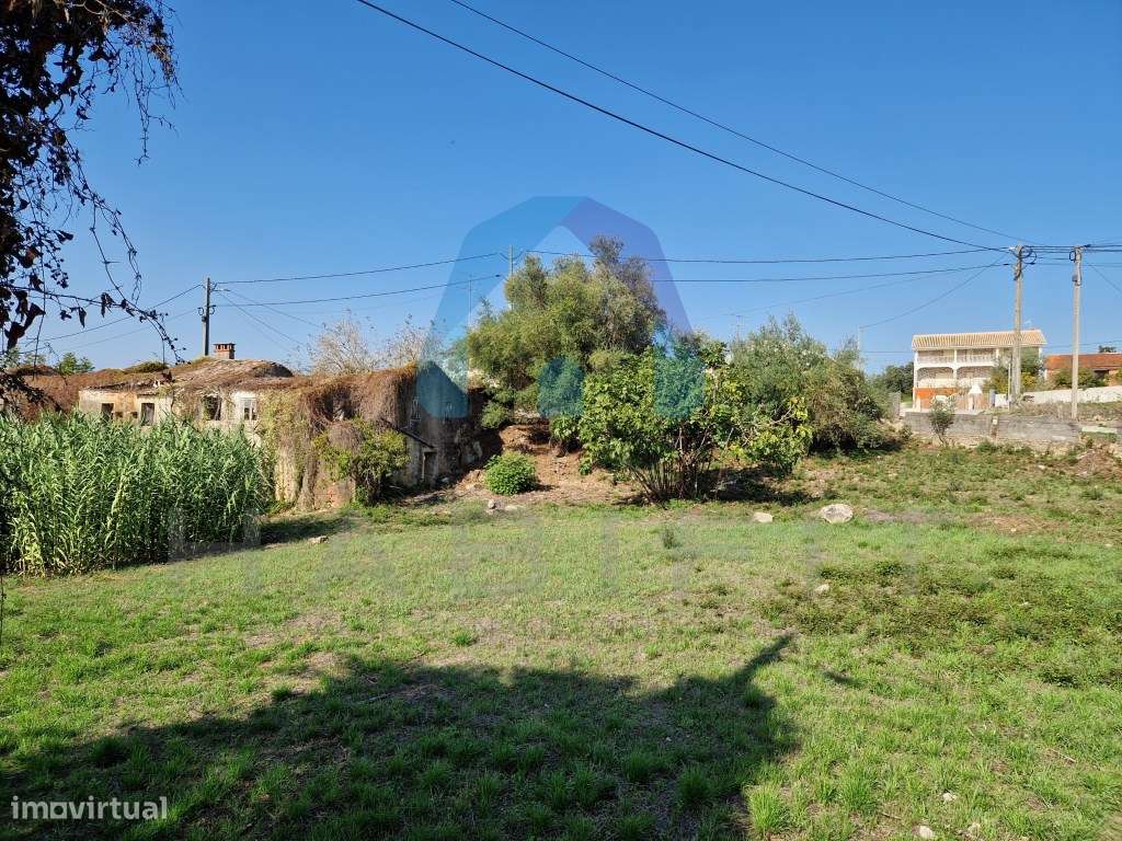 Terreno com Viabilidade de Construção - Pombal-5