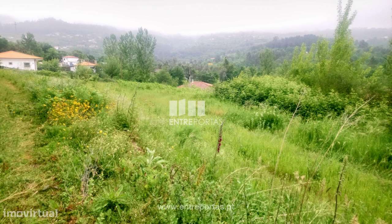 Venda Terreno c/ possibilidade de construção de Moradia, Soalhães, - Grande imagem: 4/36