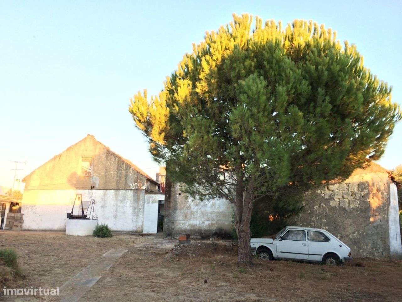 Herdade com 2 casas, Olaia, Torres Novas - Grande imagem: 3/13