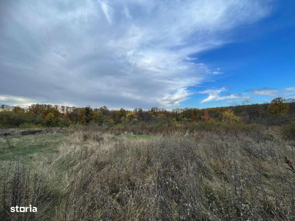 Teren intravilan Mosoaia - Imagine principală: 4/8