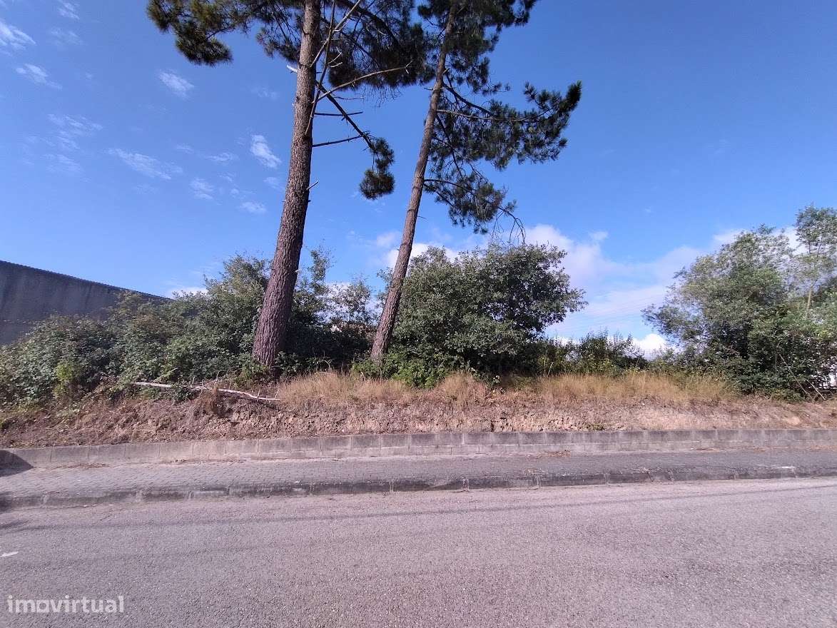 Terreno plano para construção / 9000 m2 / Boa Vista / Leiria - Grande imagem: 3/6