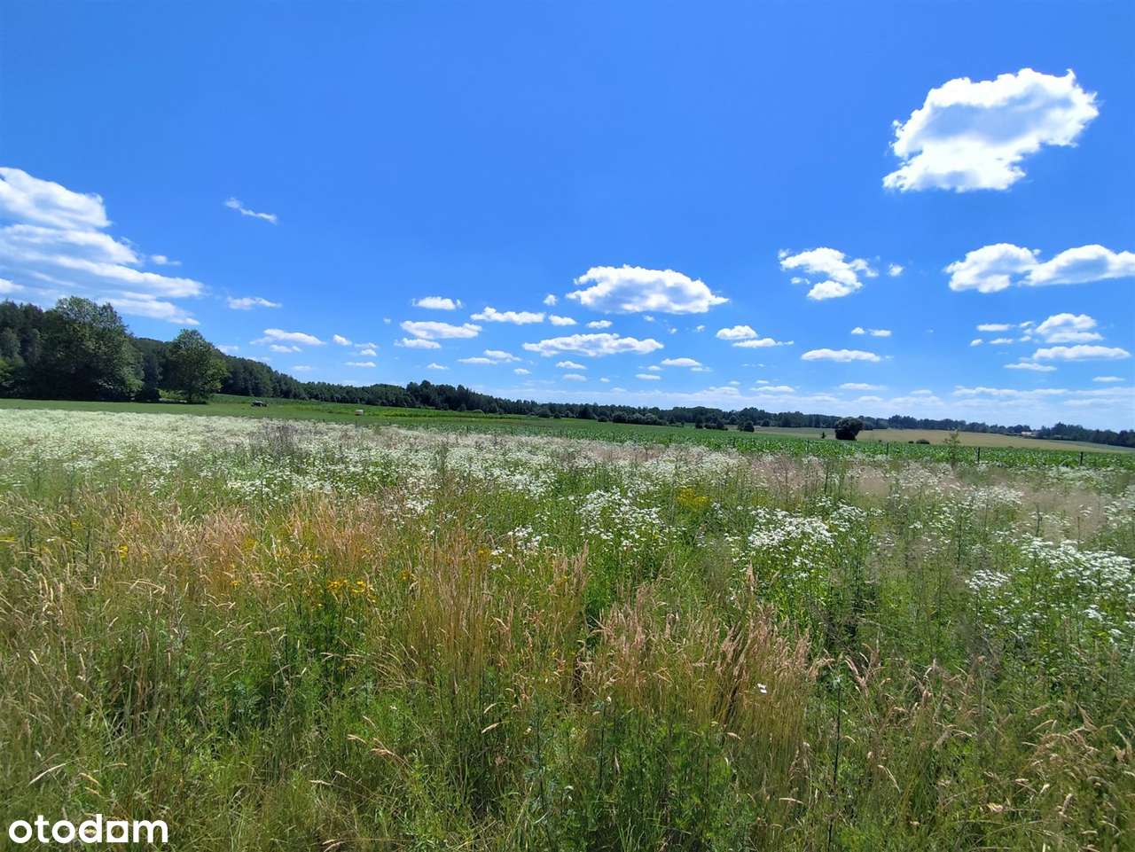 Sliczne działki 3000/5000m2 10km do Białegostoku-5