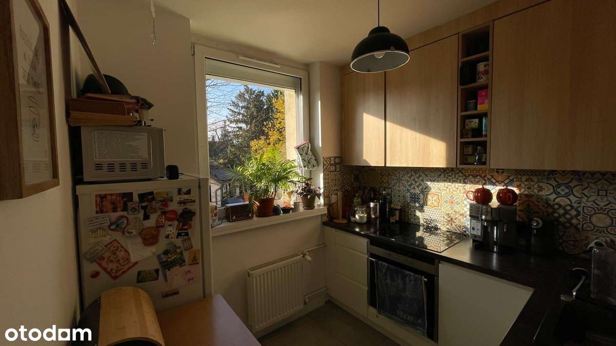 Słoneczne 2-pokojowe mieszkanie z osobną kuchnią, okazja! - Pełny obrazek: 1/20