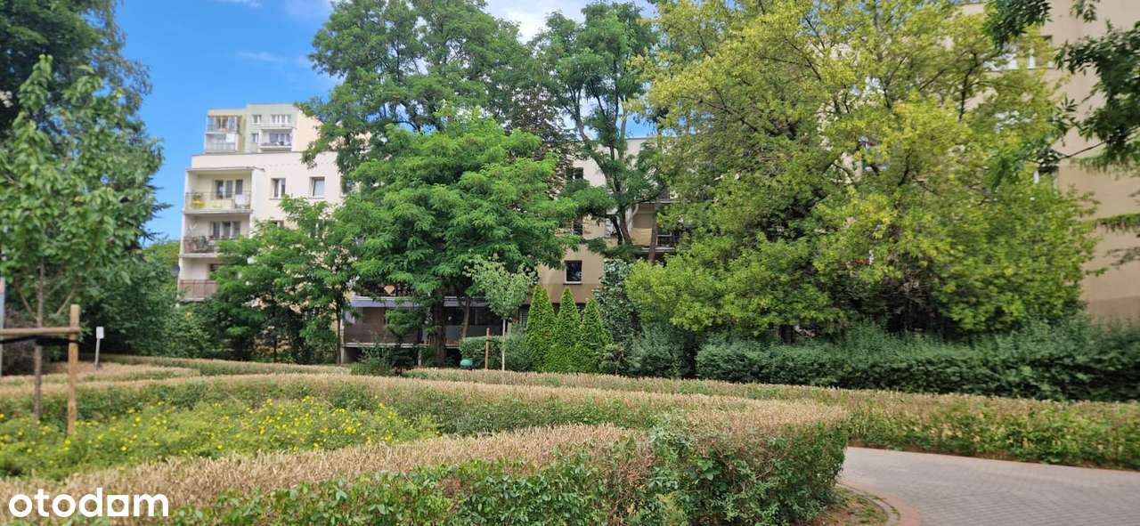 3-pokojowe w zielonej części Ursynowa Północnego-2