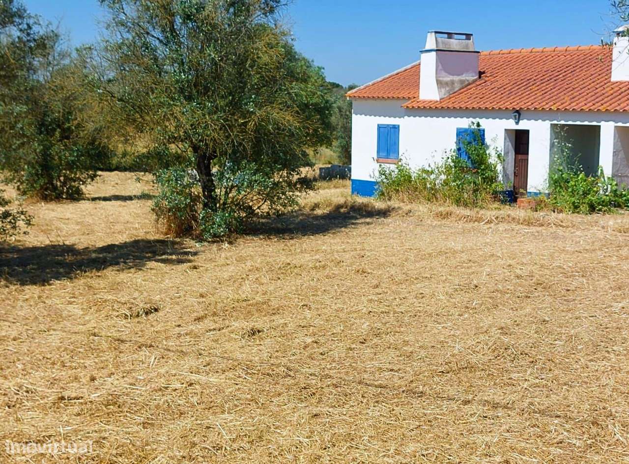 Moradia T2 com Terreno de 5.500 m² – Courela da Cruz, Pavia - Grande imagem: 2/16