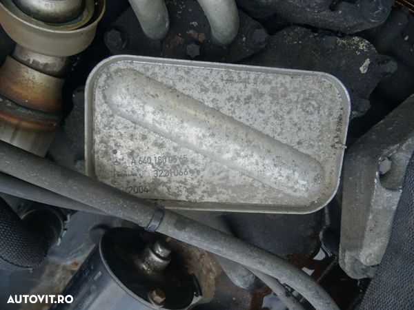 Vand Racitor Ulei (Termoflot) Mercedes A Class W169 2.0 CDI din 2007 cod: A6401800565 - 1