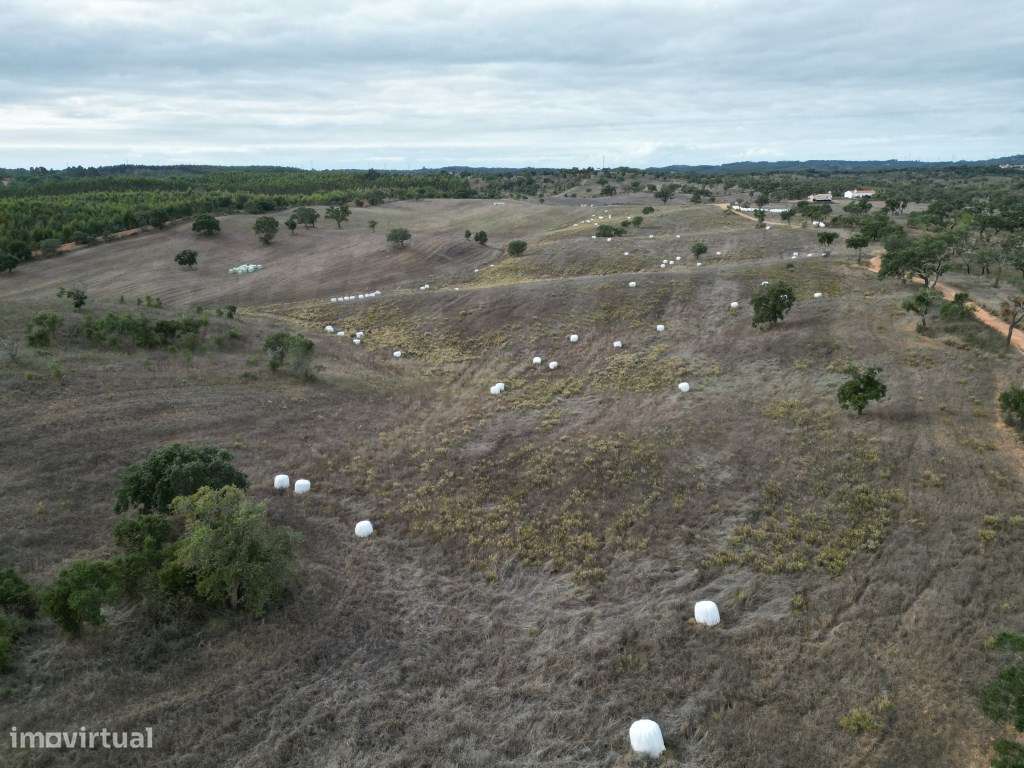 Monte Típico Alentejano para Reabilitar - Santiago do Cacém-22