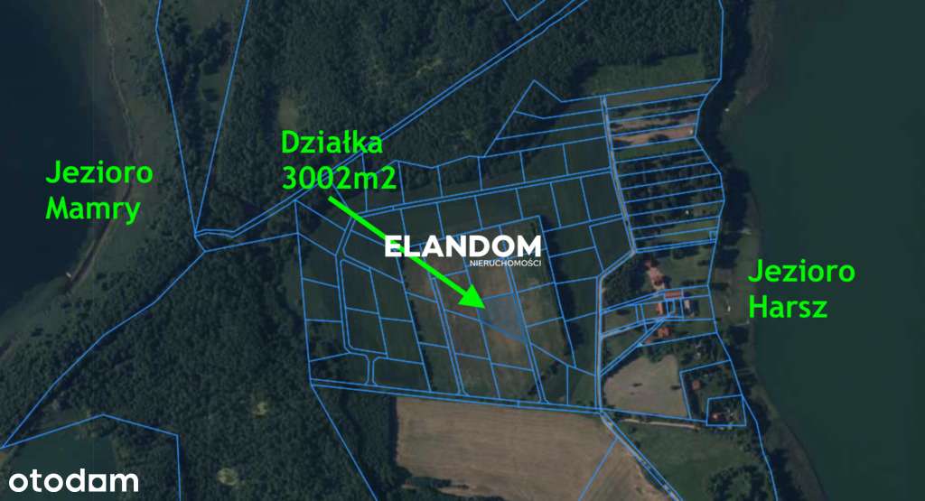 Harsz, działka 3000m2, gotowe warunki zabudowy. - Pełny obrazek: 5/5