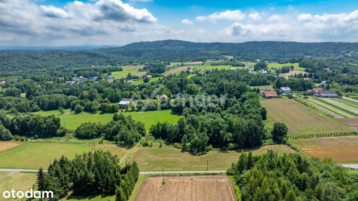 Ostatnie dwie działki ! doj. Drogą Asfaltową - Pełny obrazek: 4/14