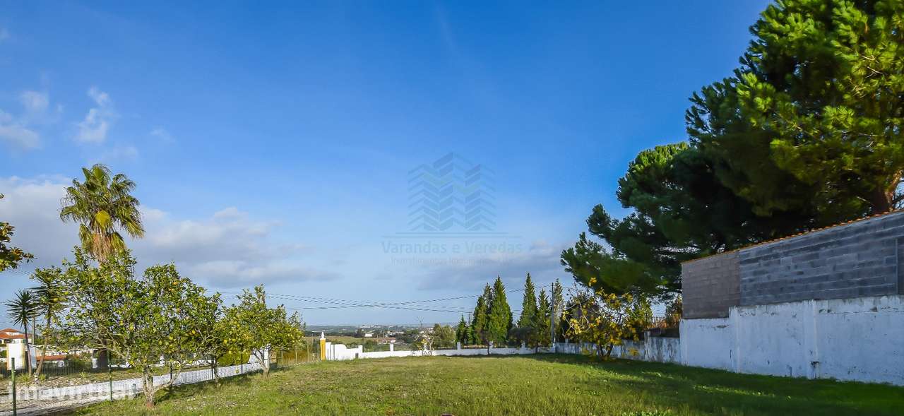 Moradia T3 em Carril - Torres Novas-16