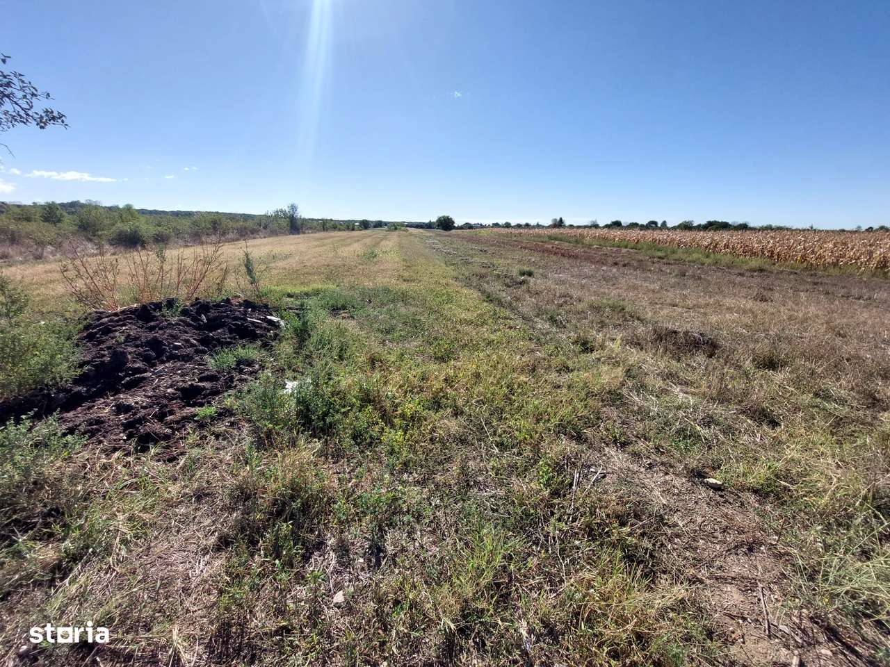 COMISION O , teren extravilan 2894 mp, Dragomiresti - Imagine principală: 1/4