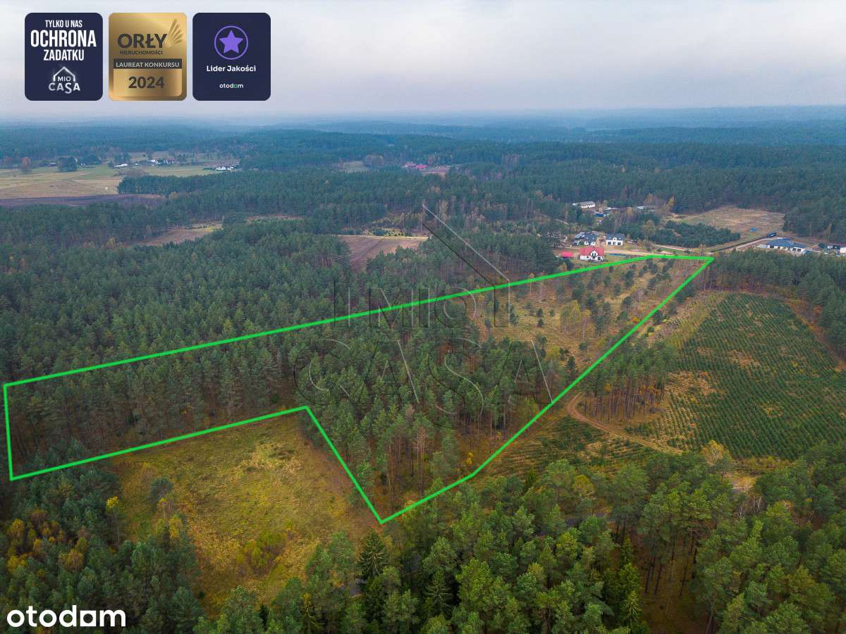 944157 - Pełny obrazek: 4/15