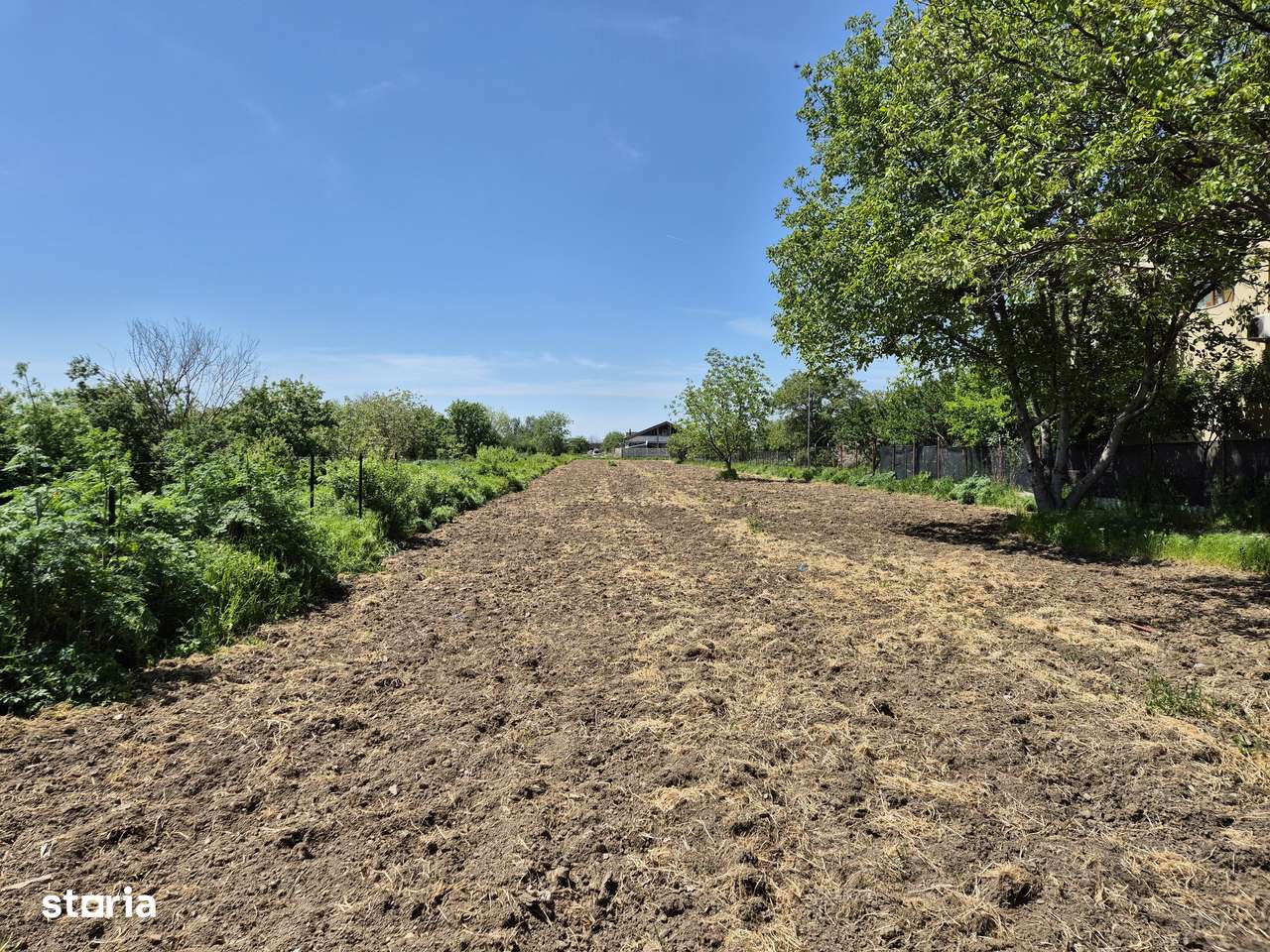 Teren intravilan 2658 mp - 1 Decembrie, Ilfov - Imagine principală: 2/6