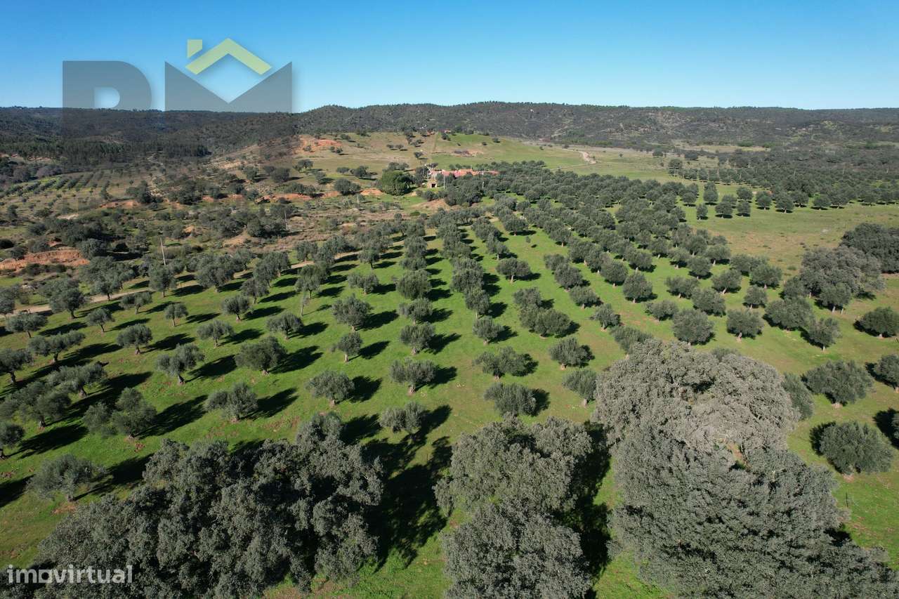 Terreno Rústico  Venda em Escalos de Baixo e Mata,Castelo Branco - Grande imagem: 2/52
