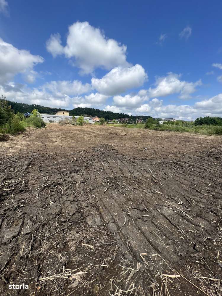 Vând 7 arii teren intravilan toate utilitățile la strada - Imagine principală: 3/5