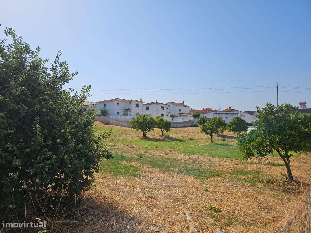 Terreno Urbano em Atalaia Vila Nova da Barquinha - Grande imagem: 4/8