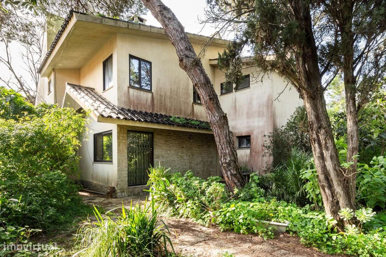 Moradia Isolada T6 com jardim, Birre, Cascais - Grande imagem: 2/34