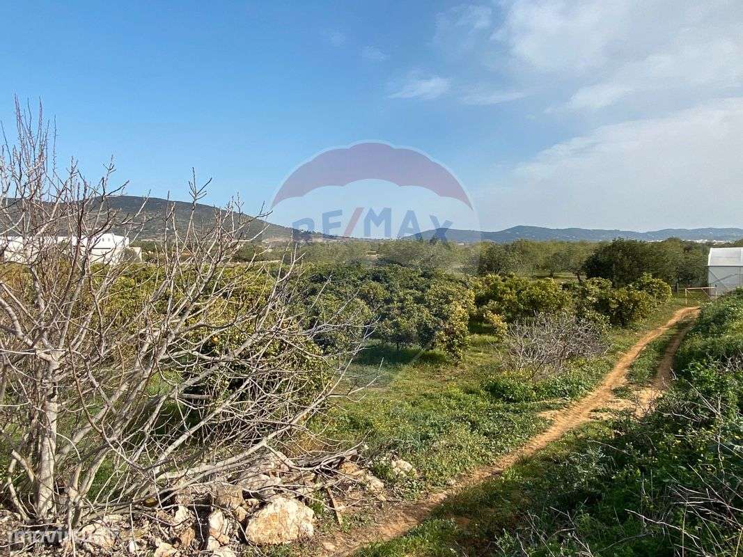 Terreno  para venda - Grande imagem: 5/10