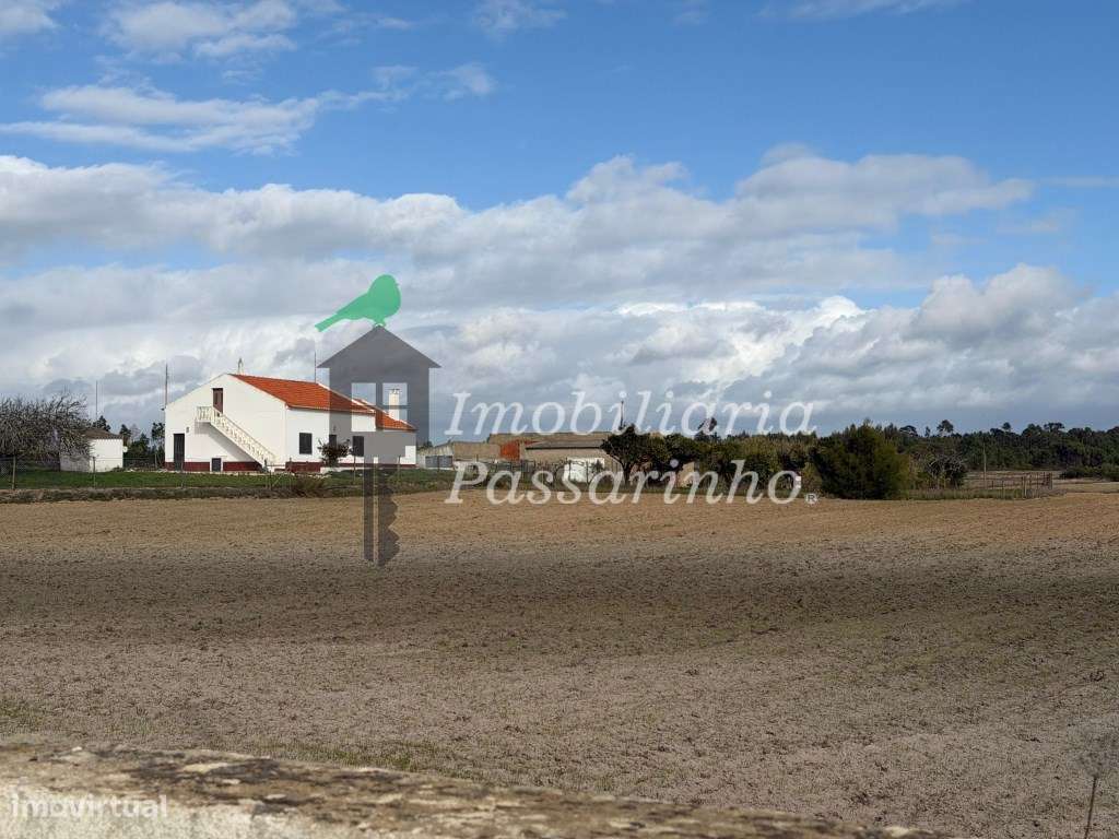 Herdade c/ habitação T2+2 - Aljezur-5